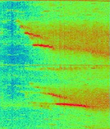magnetic field spectrogram
